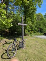 E-Bike Thömus e lightrider Fully guter Zustand