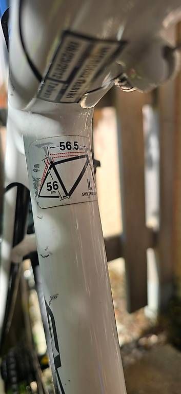 Specialized Vélos: Specialized Allez – D'occasion à Rorschach par Jakec89 4
