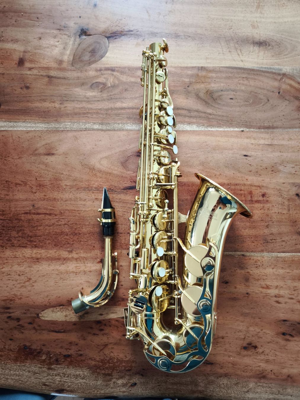 Strumenti musicali: Saxophon – Usato da Tübach venduto da shenzu 4