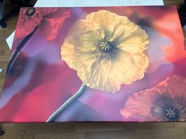 Grosses Blumenbild, Leinwandbild, Top Zustand, Frühlingsdeko
