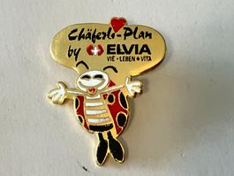 1 Pin Elvia Chäferli Plan