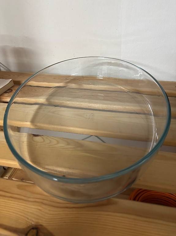 Teglie da forno: PIROFILA ovale PYREX – Usato da Zürich venduto da ika_q7dq