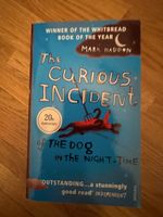 The curious incident of the dog