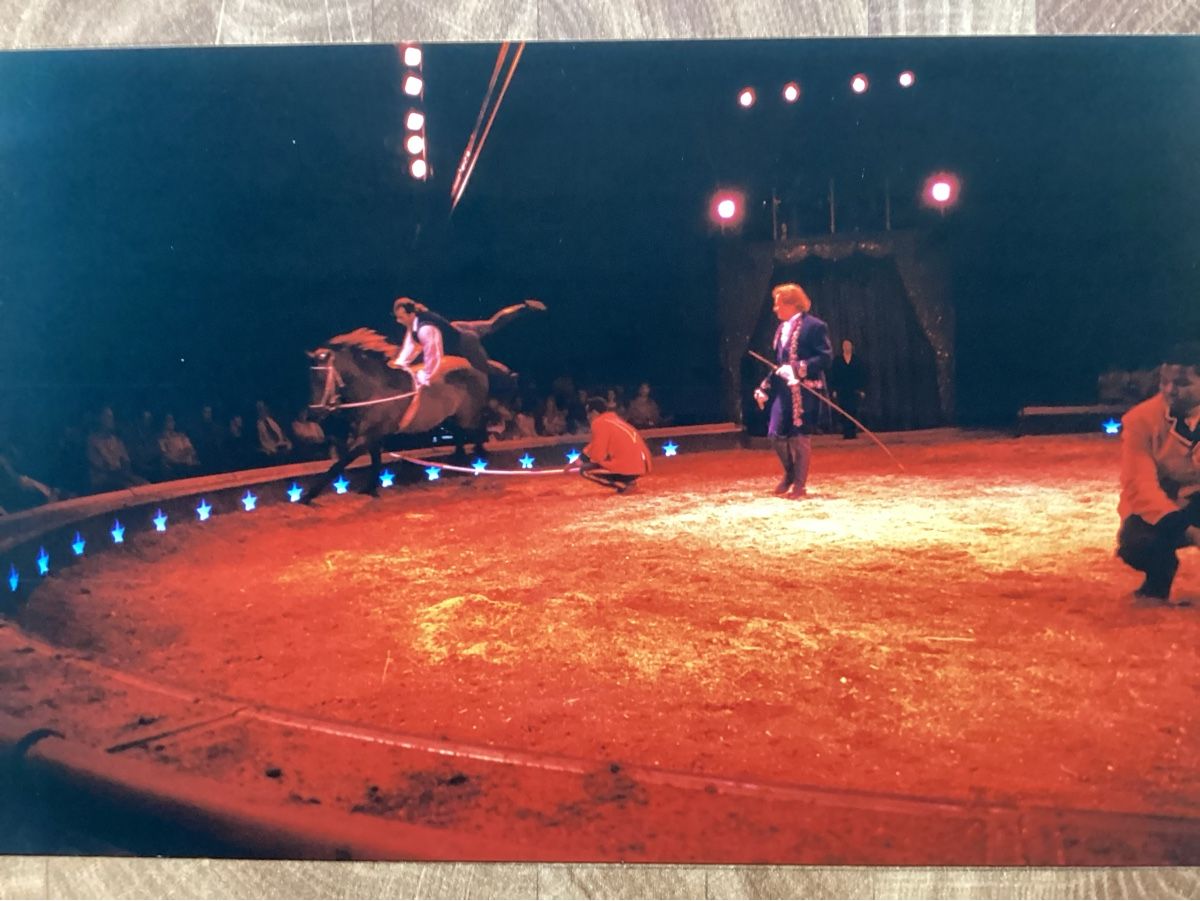 Foto & Immagini: Circus Knie Foto 1995 – Usato da Reichenbach i. K. venduto da astra2010