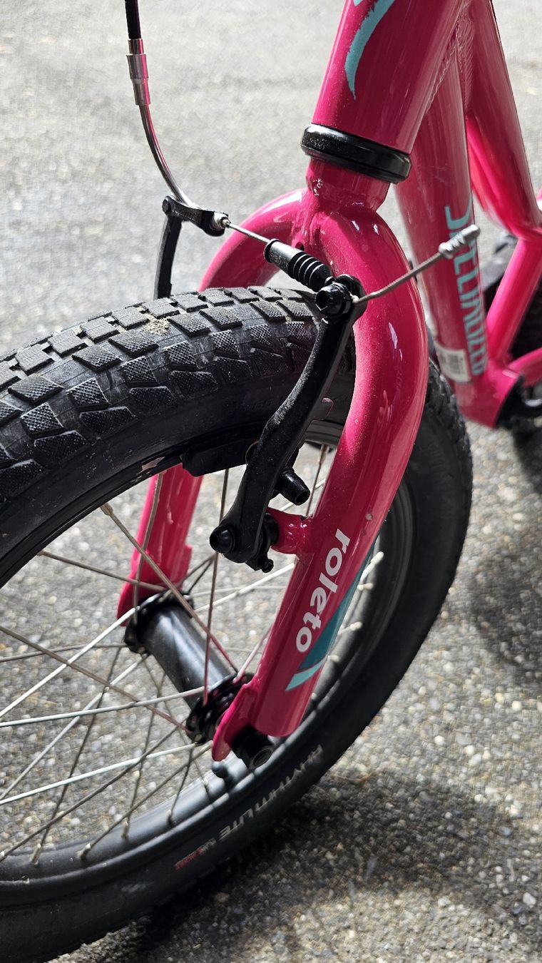 Specialized Velos: Specialized Riprock 16zoll kindervelo – Gebraucht aus Kaltbrunn von Richiwel_Shop 3