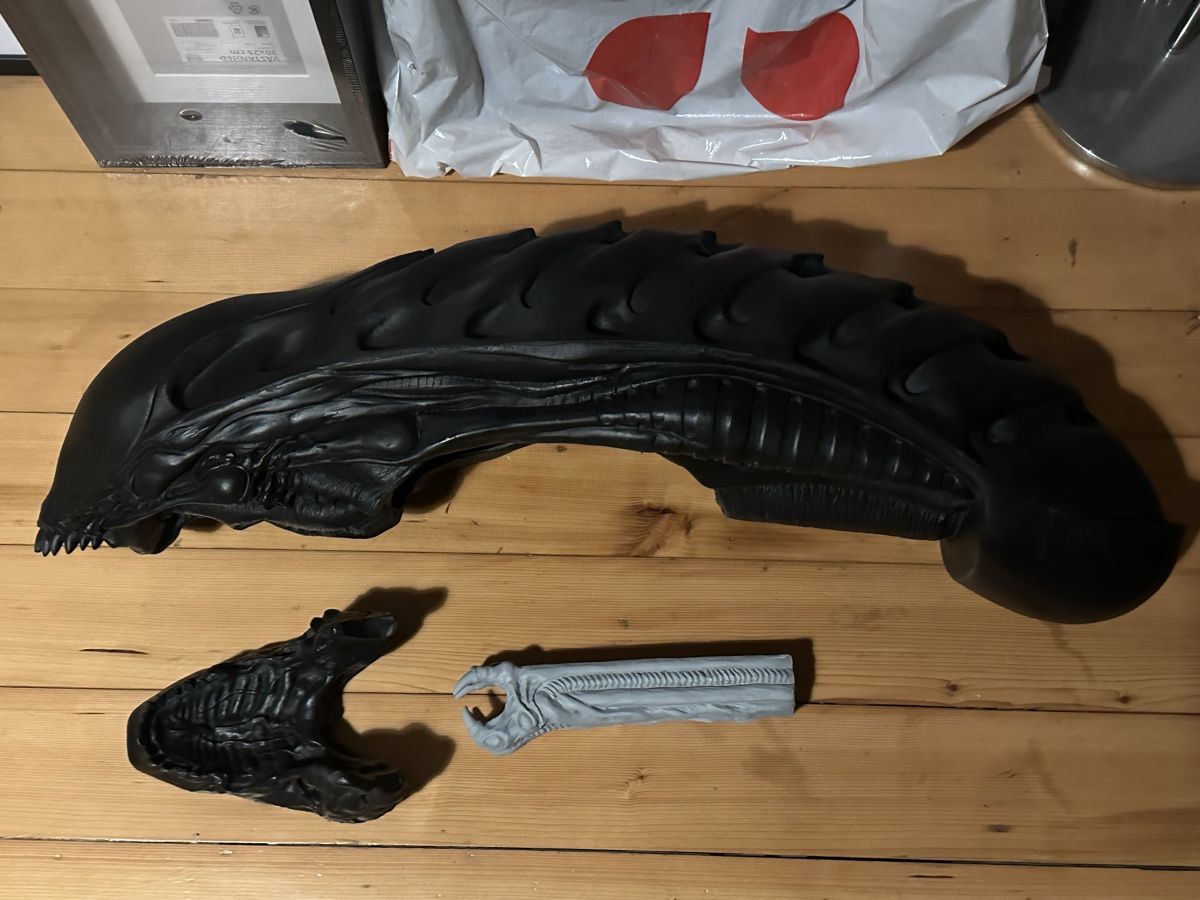 Sculture & Statue: 1:1 Alien 3 Kopf lifesize not Coolprops Sideshow Giger – Usato da Schlieren venduto da Moviepropde