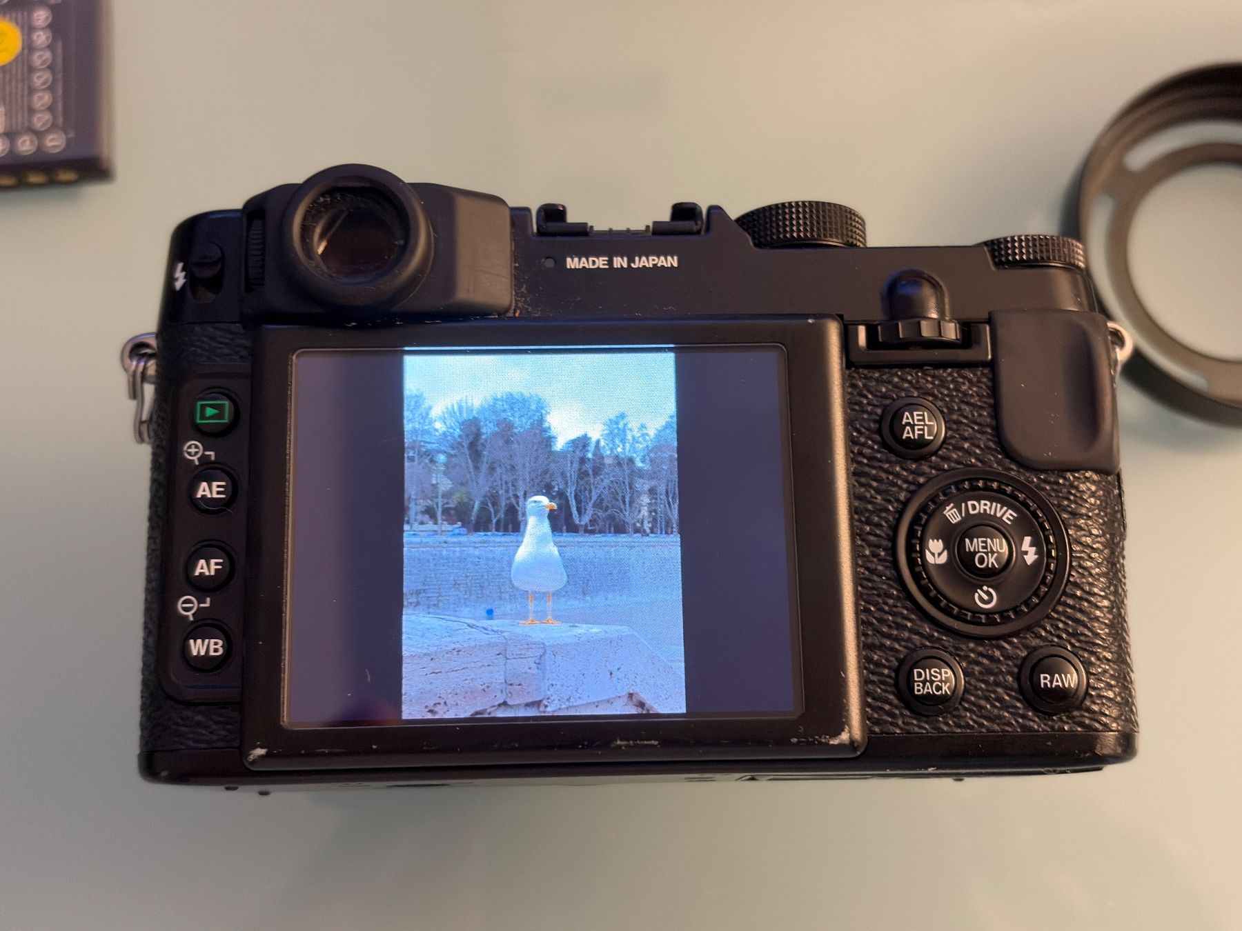 Fujifilm Fotocamera: Fujifilm x10 – Usato da Zürich venduto da Stefilix 2