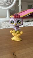 Littlest pet shop purple owl #841