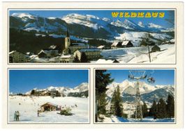 Wildhaus - 3 Bild AK