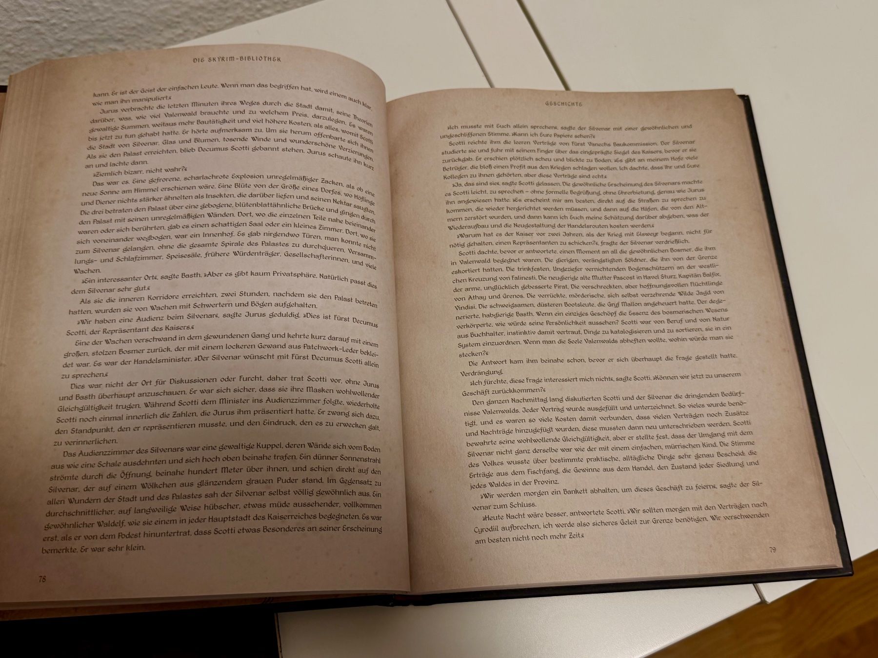 Bücher: SKYRIM Bundle – Neu (gemäss Beschreibung) aus Zürich von NerdLoot 6