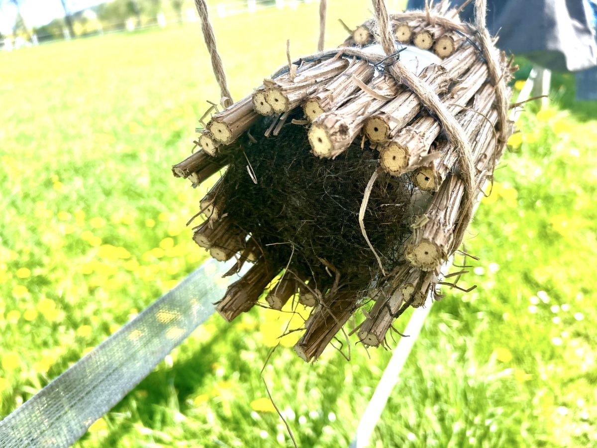 Vasi per fiori: Hängetopf aus Lianen – Nuovo (secondo la descrizione) da Frauenfeld venduto da Irene.Schuppli 4