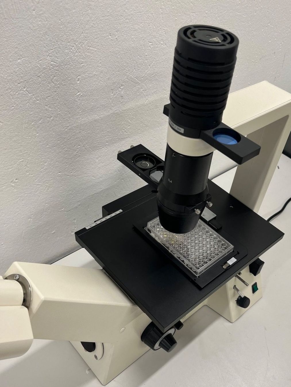 Zeiss Microscopi: Zeiss Axiovert 25 Inversmikroskop mit Phasenkontrast – Usato da Niederdorf venduto da LeptonAG_Labor 2