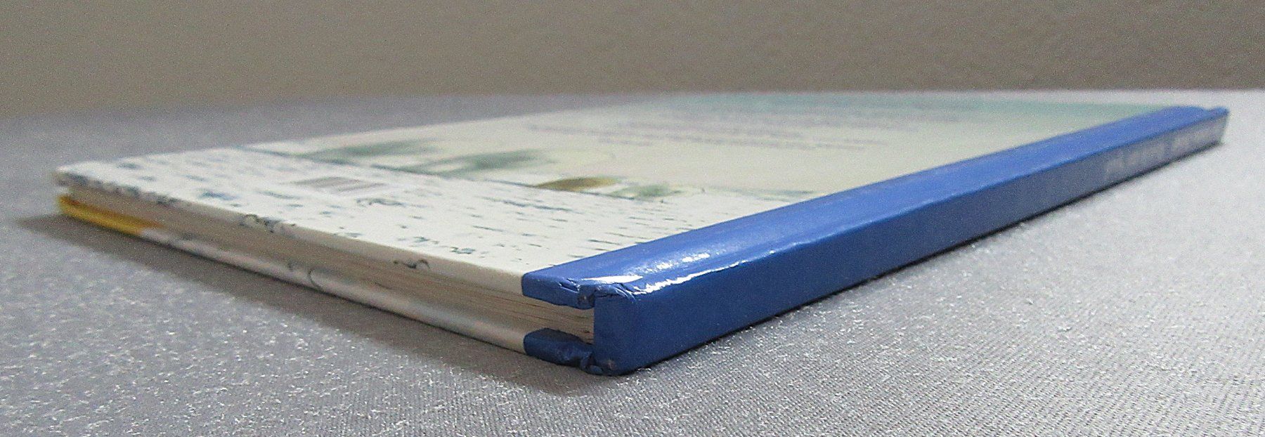 Bücher: Der kleine Eisbär - Basteln mit Spass – Gebraucht aus Auenstein von Padabimbim 7