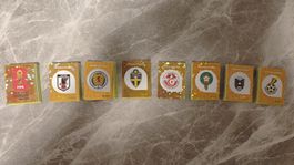 Ca. 350 Panini Bilder WM 2026 - Keine doppelte Bilder!