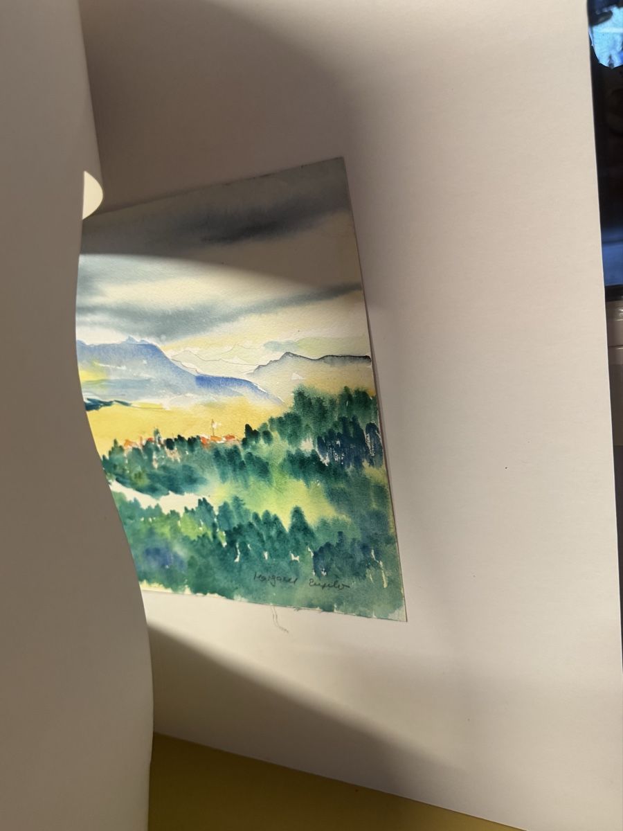 Dipinti: Aquarell Hand signiert Bild  – Usato da Schlieren venduto da Freundlich02 5