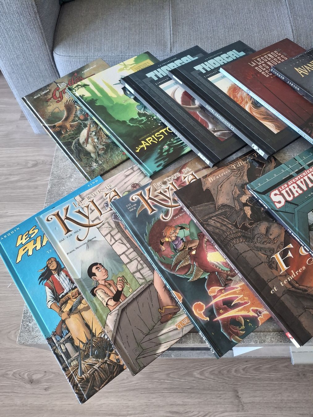 Comics: Lot de BD Fantasy – Gebraucht aus Morges von ProfesseurJones 1