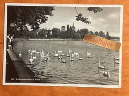 Alte Ansichtskarte 1937 "Schwanenparadies in Arbon" Rarität!