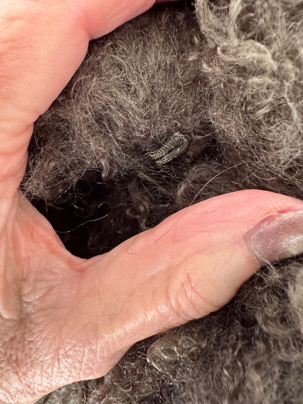 Na-kd Giacche: Zotteljacke – Usato da Embrach venduto da aha55 2