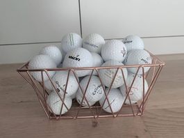 20 Golfbälle Golfball (auch Versand möglich)
