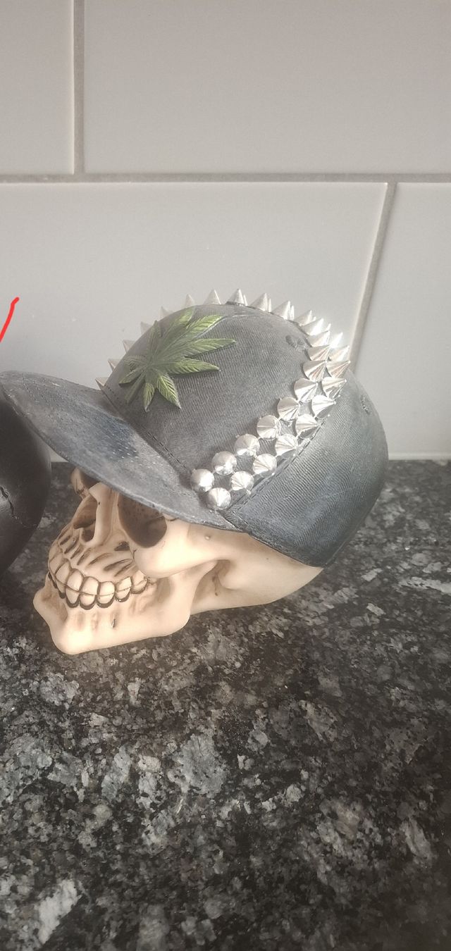 Tutte le decorazioni: Deko Totenkopf – Nuovo (secondo la descrizione) da Allschwil venduto da nicki1803 1