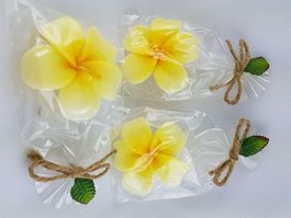 3 Blumen - Schwimmerzen - Gelb in Geschenkverpackung