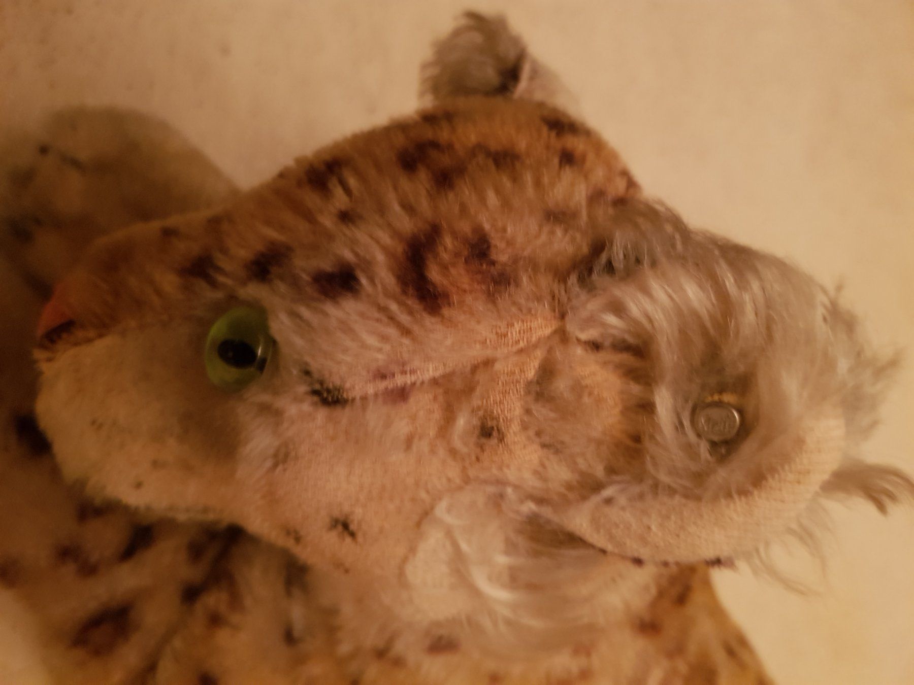 Steiff Jouets: Antiker Steiff Leopard / VERSAND möglich !! – D'occasion à Rütihof par Teddy1985 1