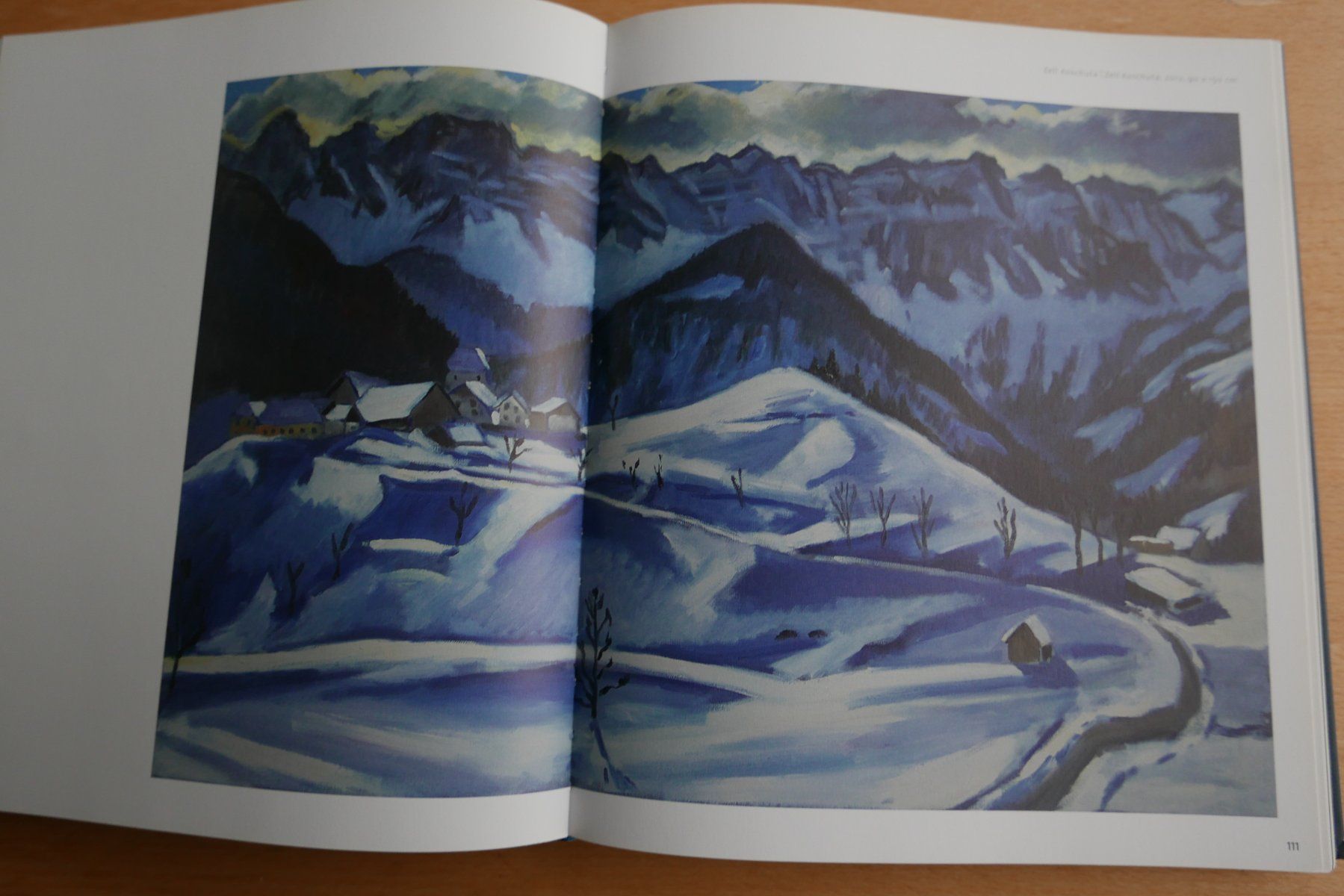Bücher: Kunstbuch Harald Scheicher Malerei 2010-2014 – Gebraucht aus Rotkreuz von nigal 3