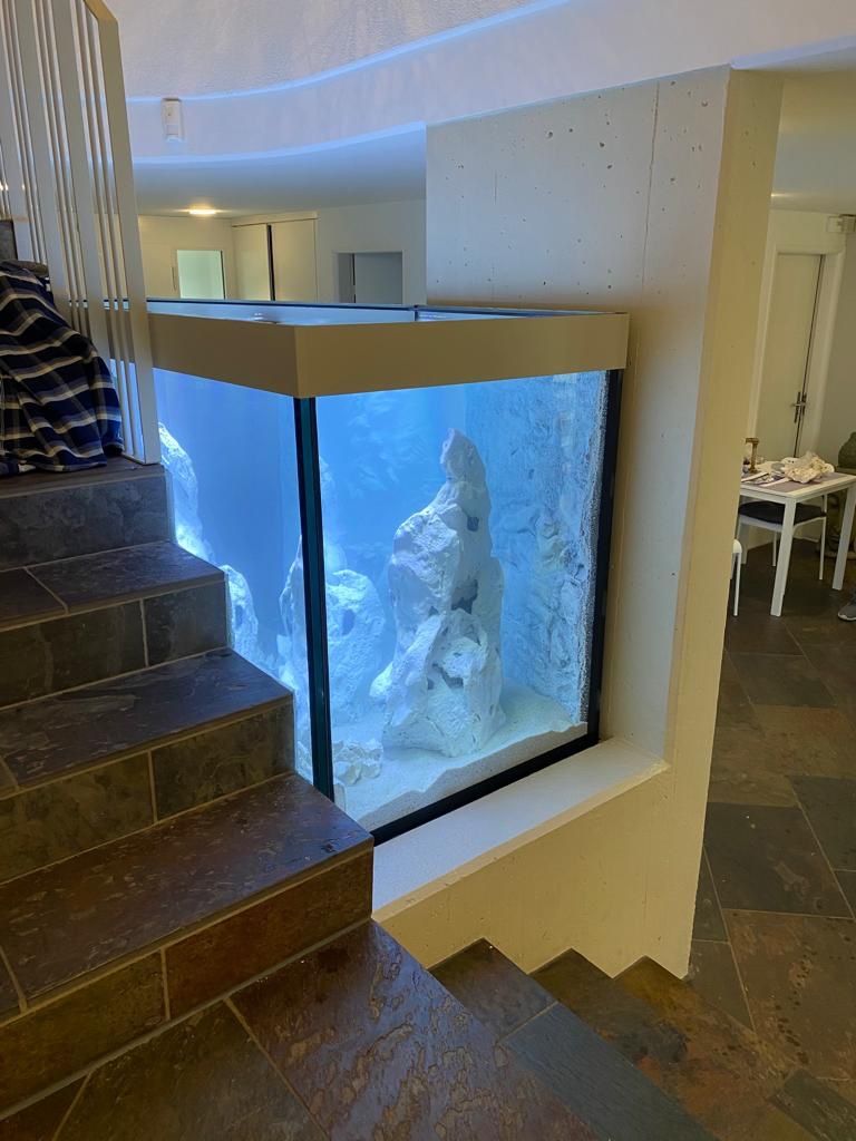 Acquari: Aquarium 1600 Liter – Nuovo (secondo la descrizione) da Berikon venduto da fischundart 1