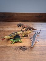 diverse Dinos