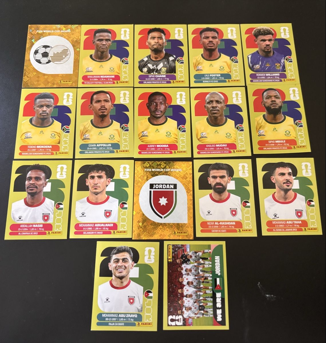 Panini Sammelbilder & Trading cards: FIFA World Cup Panini Stickers Collection – Gebraucht aus Ascona von ElfieLove