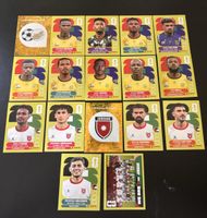 FIFA World Cup Panini Stickers Collection