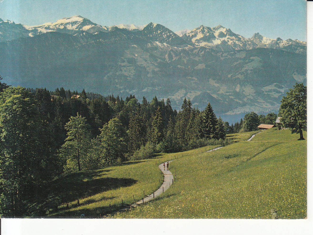Ansichtskarten: Beatenberg Rischerntal 1976 – Gebraucht aus Bürglen TG von StampGraf