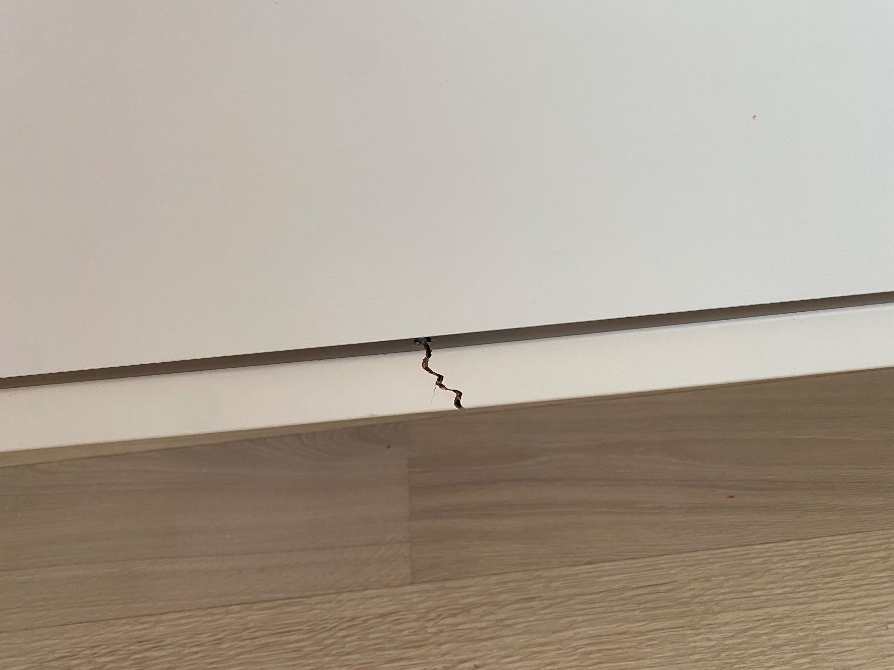 Letti: Skandinavisches Doppelbett, 180x200 cm – Usato da Reinach BL venduto da lli_y67n 3
