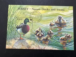 2004 Jeresy Block 43  Enten / Ducks Erstag  (A772)