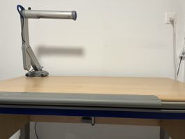 Kinderschreibtisch Moll Runner Buche mit Lampe gebraucht