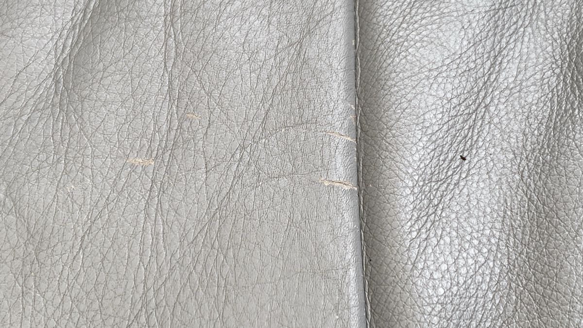 Sofas: Top Ledersofa mit Gebrauchsspuren – D'occasion à Cham par Ignifer 5