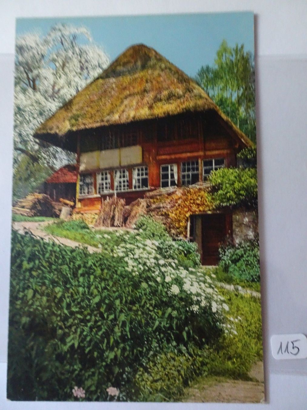 Cartoline postali: AK Aargauisches Bauernhaus, Schweiz – Usato da Schönenwerd venduto da schnitzunddrunter