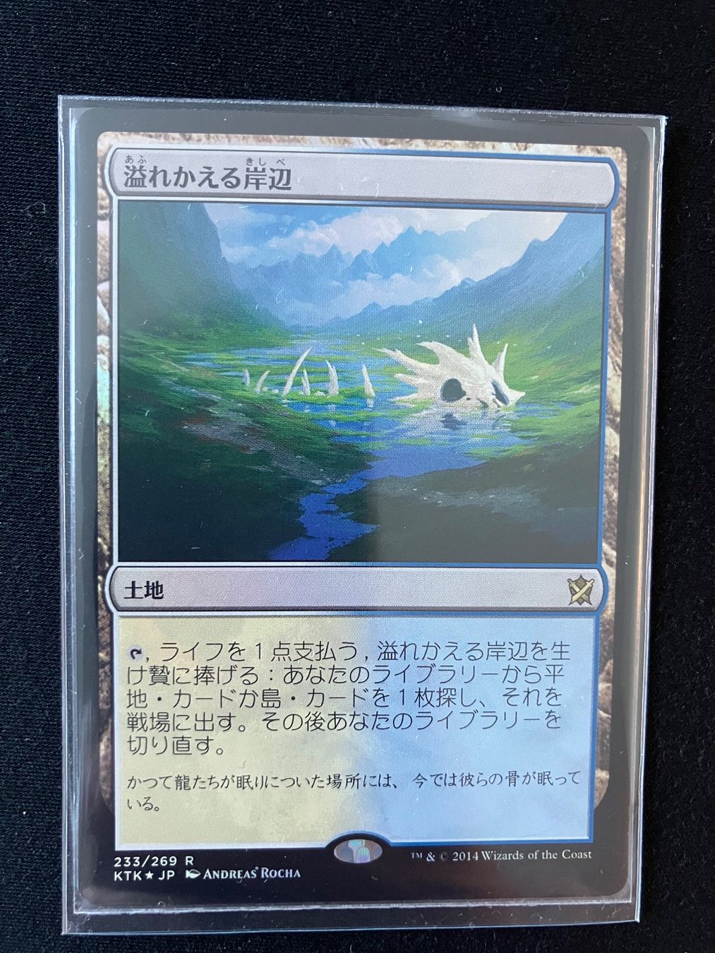Cartoline: Flooded strand NM Foil JP – Usato da luzern venduto da rammdave