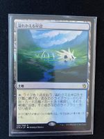Flooded strand NM Foil JP