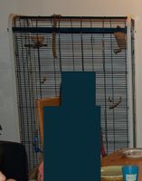 Vögelkäfig, 80x55x160, mit Rollen
