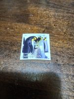 Timbre rare Tadjikistan, manchots empereurs, 25.00 somoni