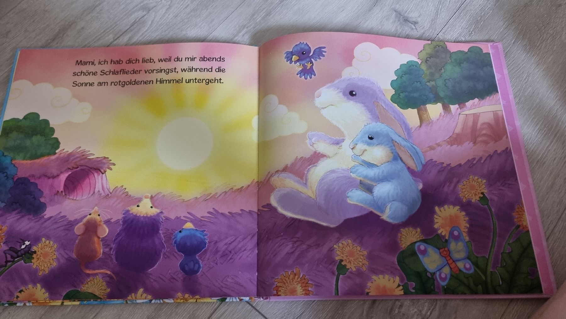 Libri: Schmusmami – Usato da Wigoltingen venduto da Zuckerfee84 1