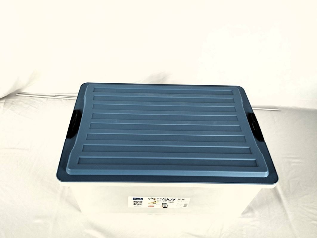 Rotho Contenitori & Simili: ROTHO Kunststoffbox mit Deckel 38 L – Usato da Schübelbach venduto da Restwert_Schubelbach 1