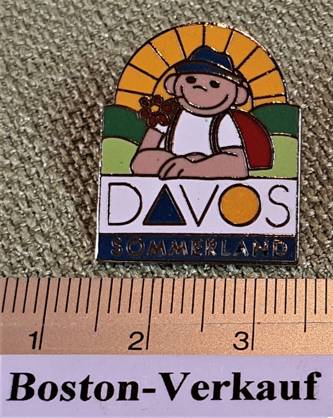 Plaketten & Abzeichen: B668 - Pin Davos Sommerland Schweiz – Gebraucht aus Reinach BL von Boston-Verkauf 1