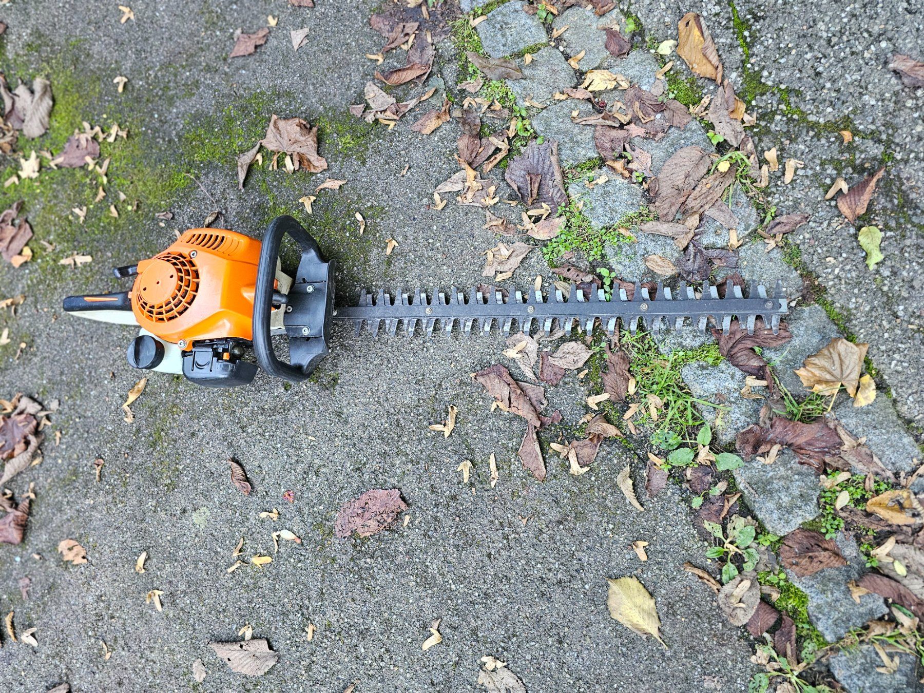 Grafiken & Lithographien: Häckenschere Stihl – Gebraucht aus Oberburg von herkules69 2