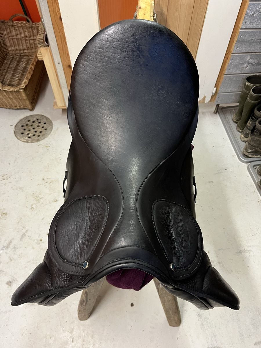 Selle & Accessori: Stübben Sattel Scandica 31 – Usato da Lauperswil venduto da alila04 4