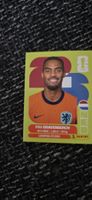 Panini NED 11