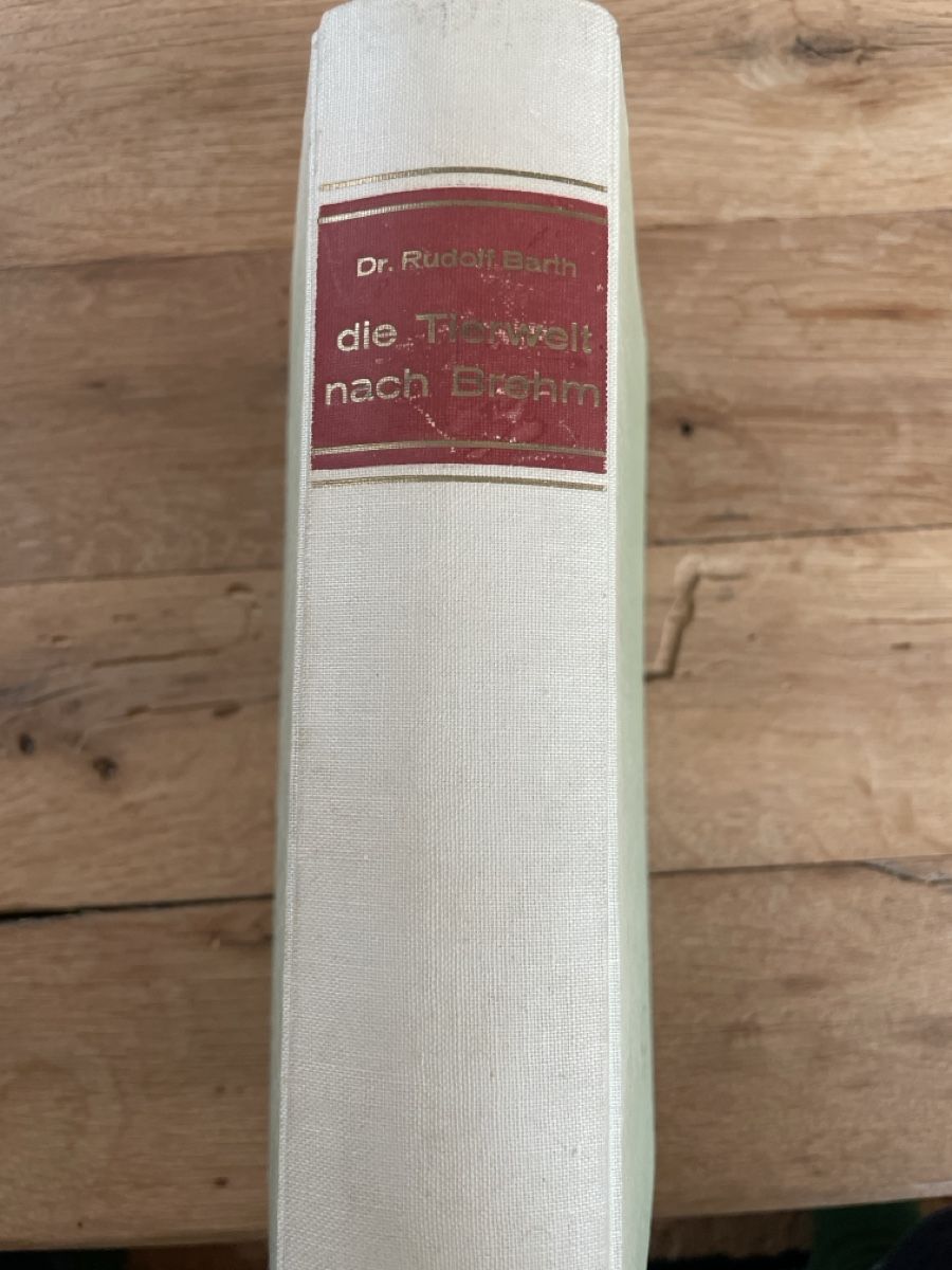 Libri: Die Tierwelt nach Brehm - Dr. Rudolf Barth – Usato da Winterthur venduto da cheerio97