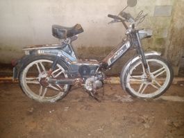 Dekoration Puch Maxi S