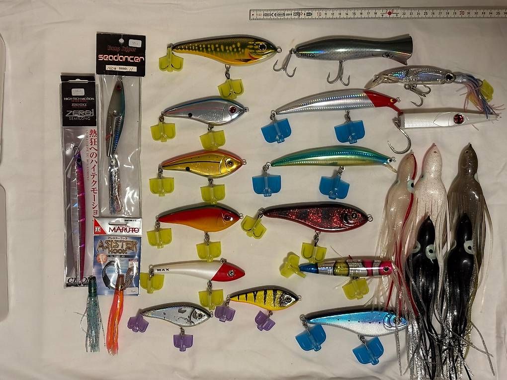 Esche: Mega-Set Meeresköder: Jigs, Popper & Big Game Lures – Usato da Herrliberg venduto da axelvb 1